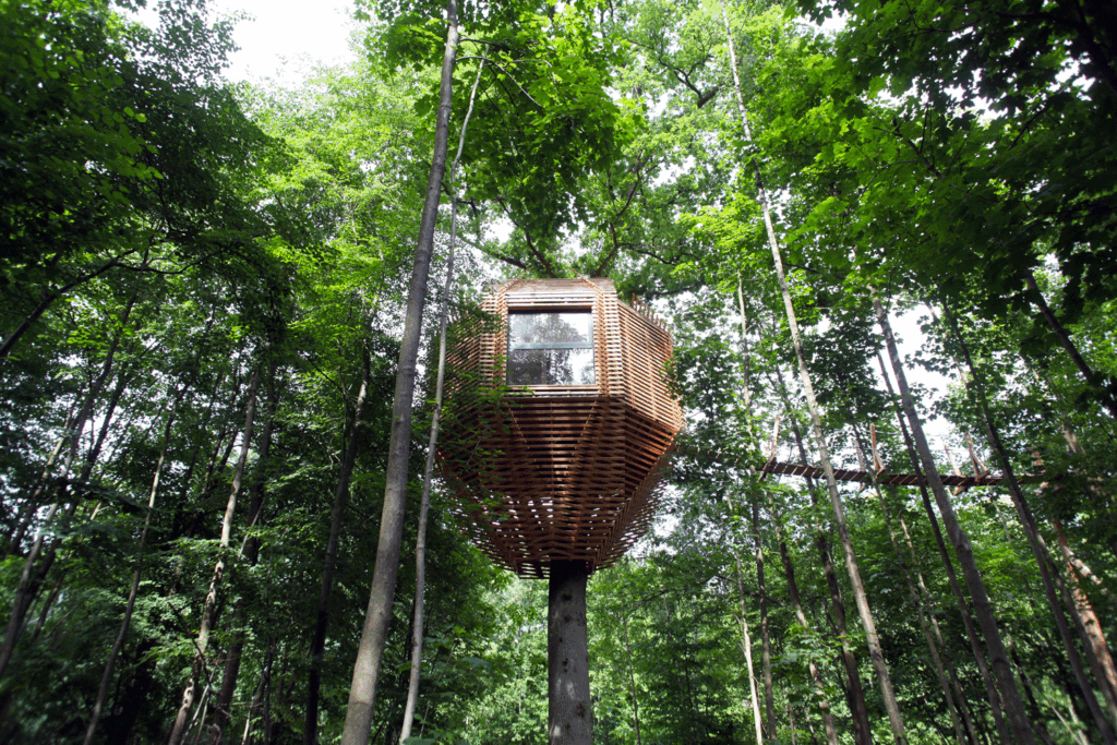 Living in a Tiny House on a Tree Trunk
